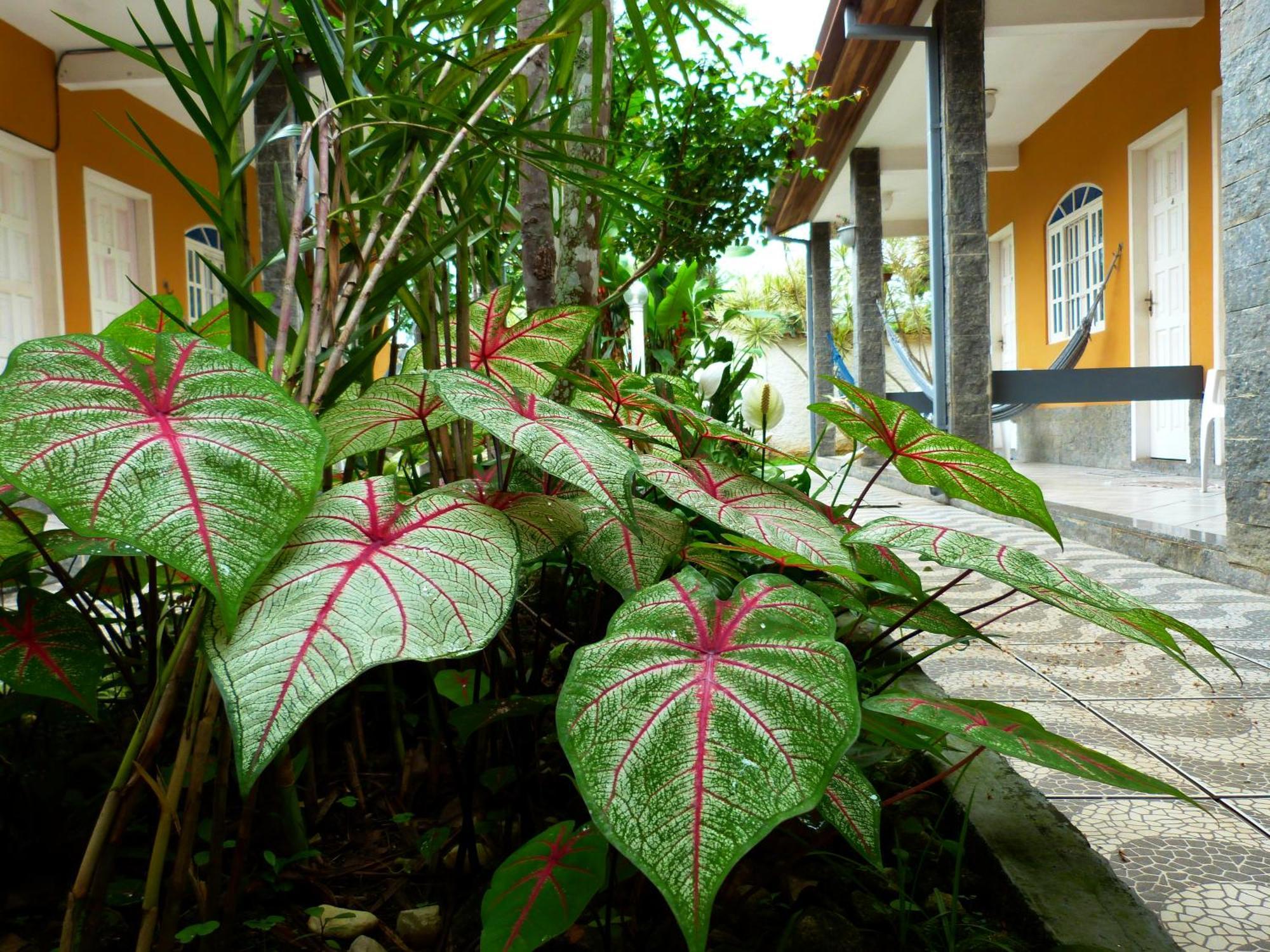 פאראטי Villa Do Sonho Pousada Hotel מראה חיצוני תמונה